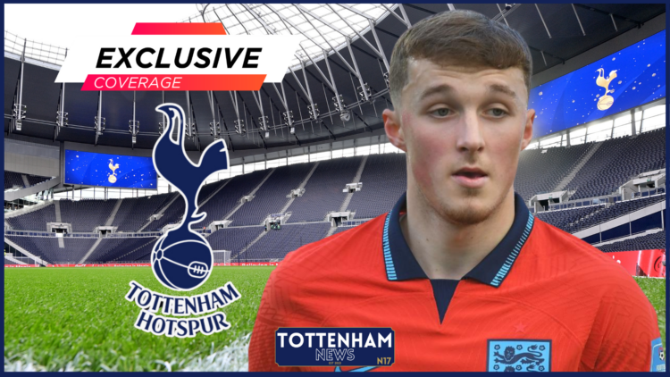 Tottenham Hotspur Stadium, Alfie Devine, Tottenham, Exclusive