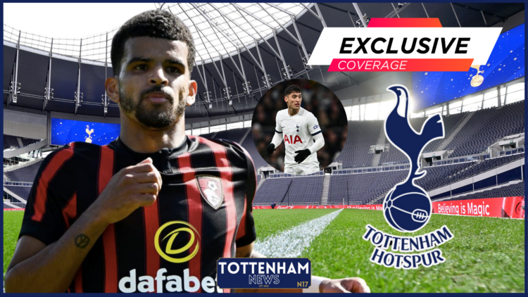 Tottenham Hotspur Stadium, Alejo Veliz, Dominic Solanke, Tottenham, Exclusive