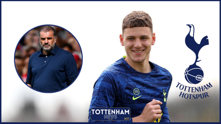 Tottenham Jamie Donley Ange Postecoglou
