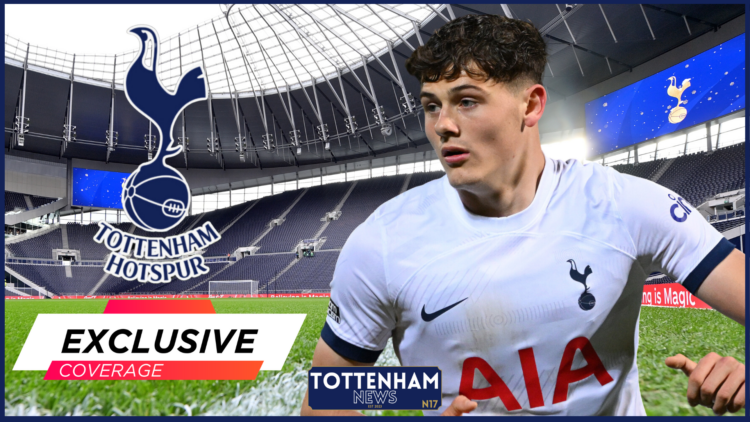 Tottenham Hotspur Stadium, Will Lankshear, Tottenham, Exclusive