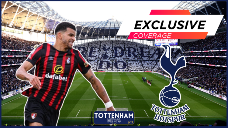 Dominic Solanke, Tottenham badge