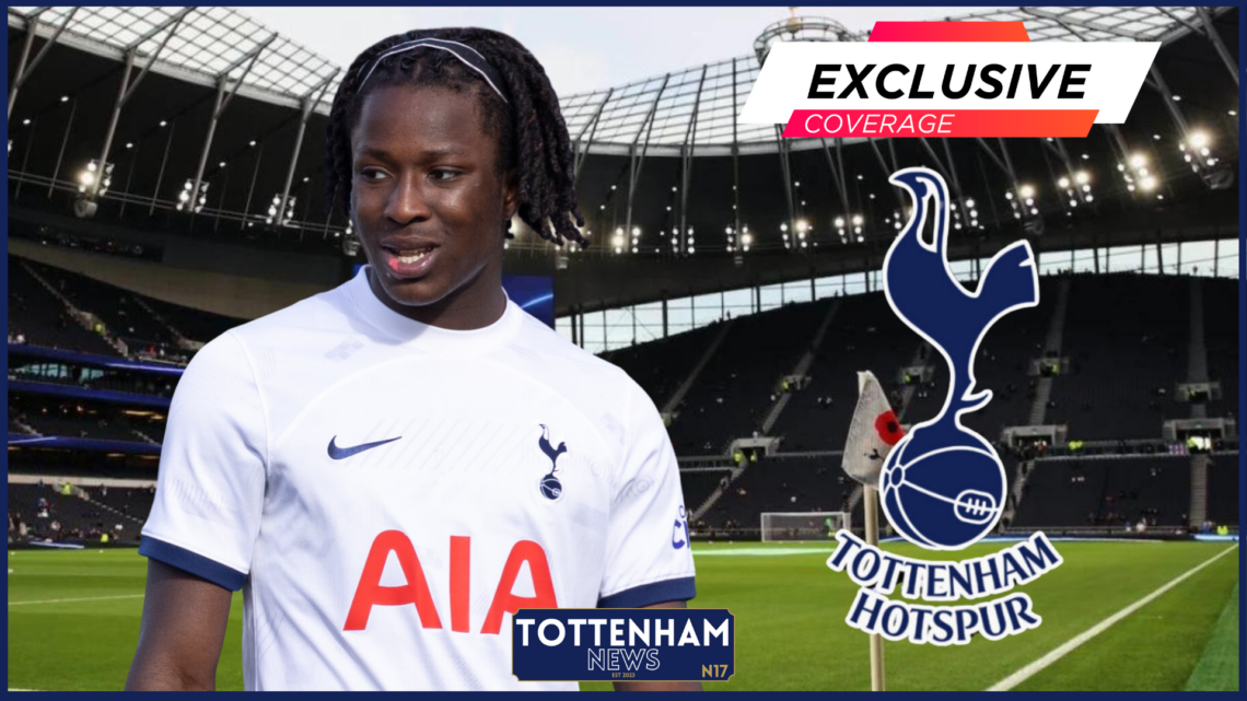 Tottenham Hotspur Stadium, Damola Ajayi, Tottenham, Exclusive