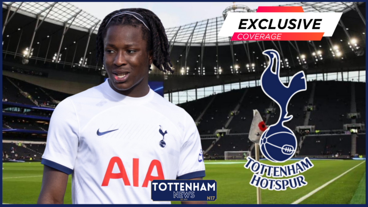 Tottenham Hotspur Stadium, Damola Ajayi, Tottenham, Exclusive