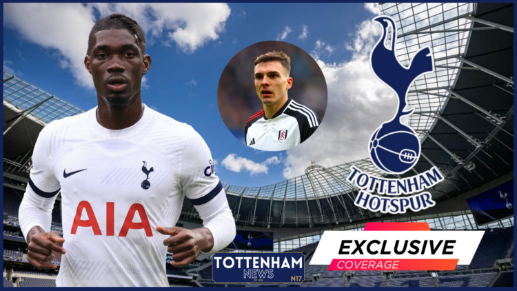 Tottenham Hotspur Stadium, Tottenham, Yves Bissouma, Exclusive, Joao Palhinha