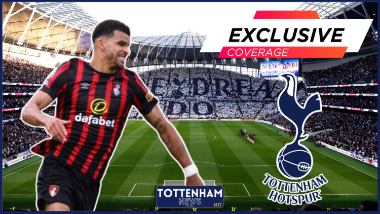 Dominic Solanke, Tottenham badge