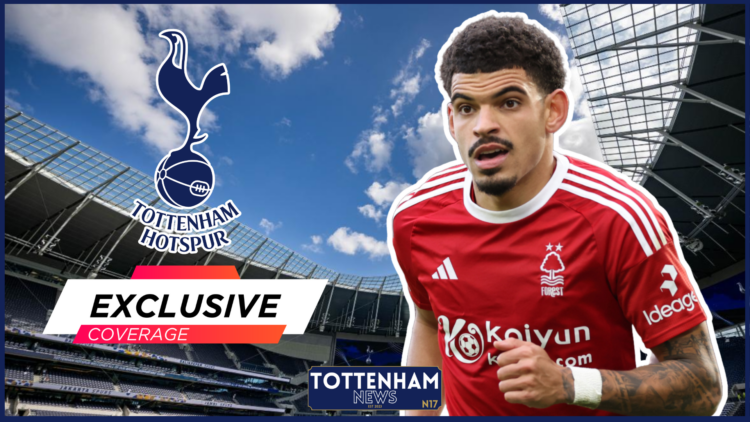 Morgan Gibbs-White Tottenham