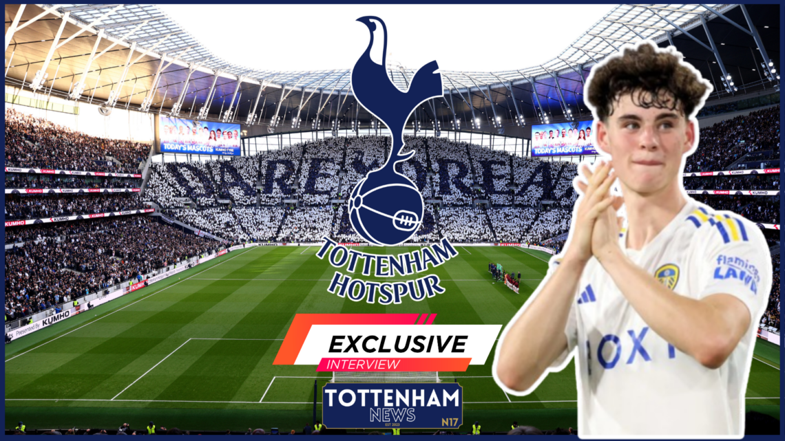 Tottenham Gray