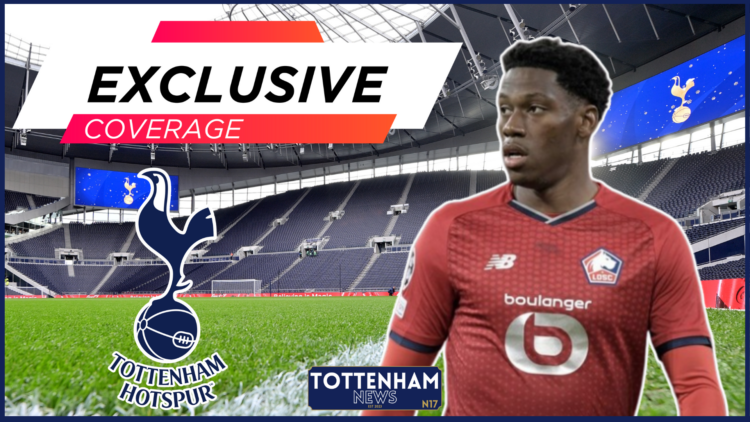 Jonathan David, Tottenham badge