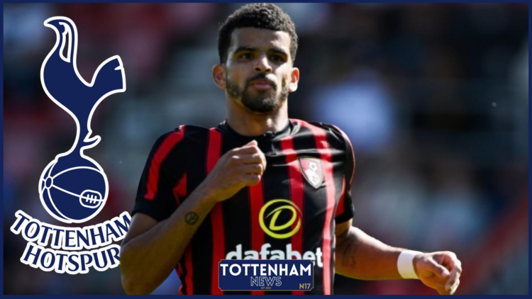 Tottenham Solanke