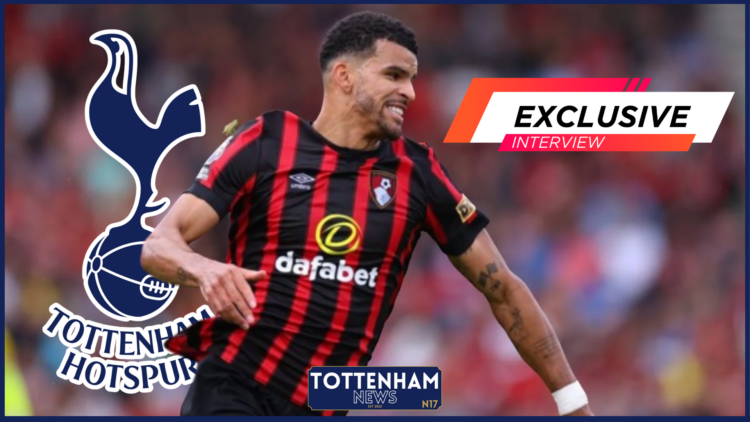 Tottenham Solanke