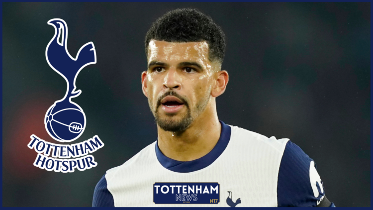Tottenham badge, Dominic Solanke