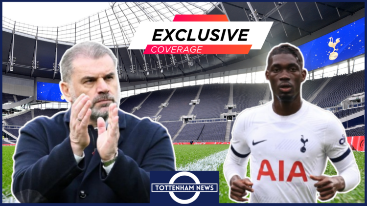 Ange Postecoglou, Ange Postecoglou, Tottenham