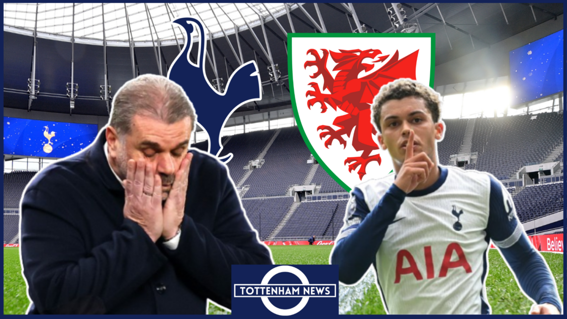 Brennan Johnson, Ange Postecoglou, Tottenham badge, Wales badge