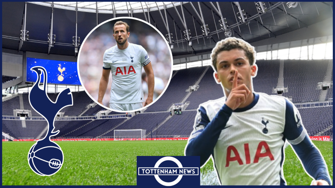 Brennan Johnson, Harry Kane, Tottenham badge