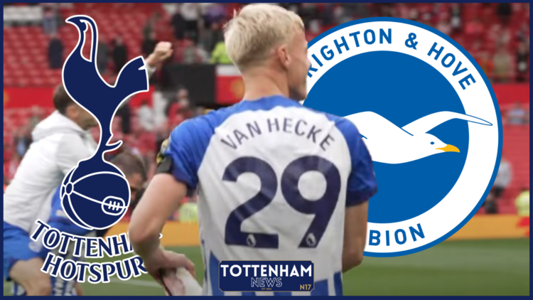 Tottenham Brighton Van Hecke