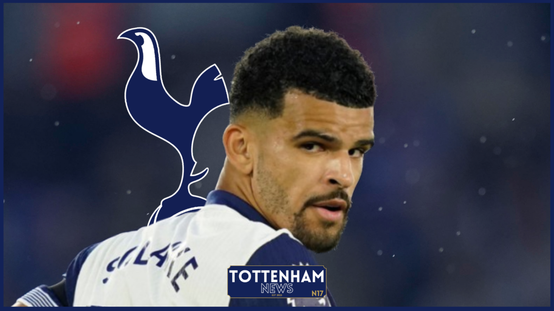 Tottenham striker Dominic Solanke
