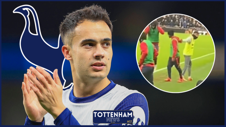 Tottenham badge, Sergio Reguilon