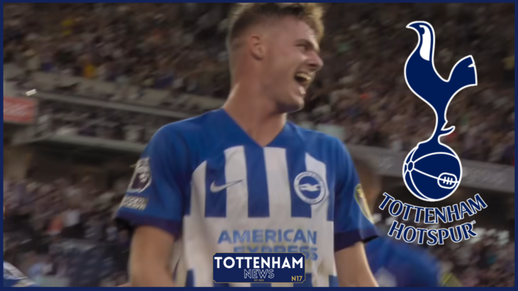 Tottenham, Evan Ferguson