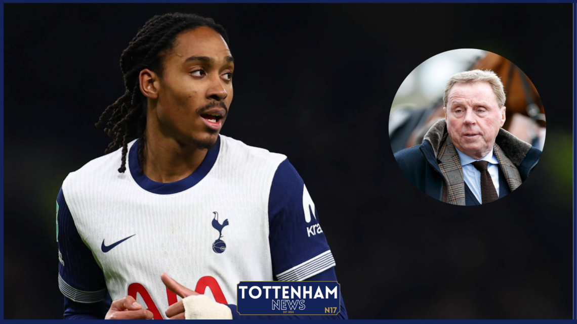 tottenham harry redknapp djed spence