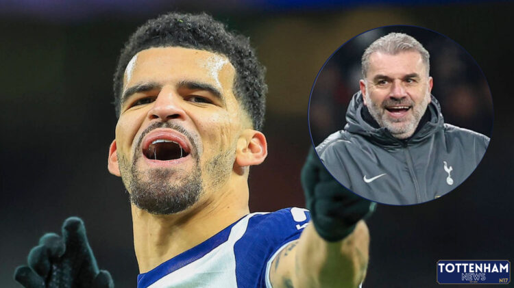 Dominic Solanke, Ange Postecoglou