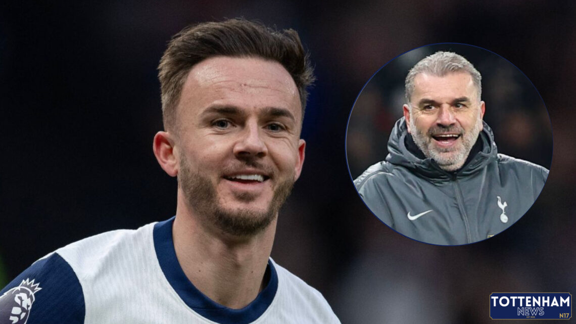 James Maddison, Ange Postecoglou