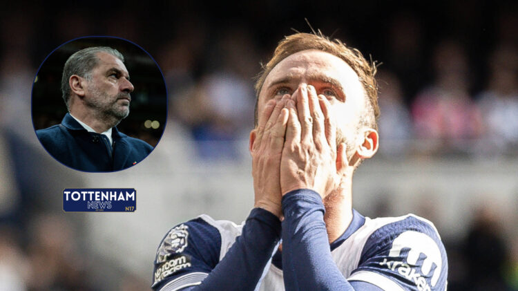 James Maddison, Ange Postecoglou, Tottenham