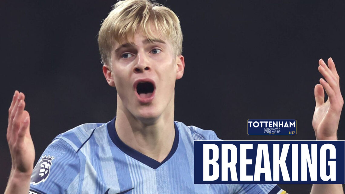 Lucas Bergvall, Tottenham