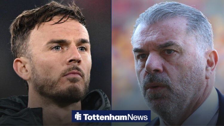 James Maddison, Ange Postecoglou
