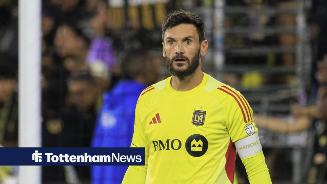 Hugo Lloris looks stunned while playing in goal