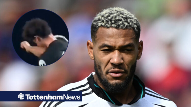 Joelinton, Archie Gray, Tottenham