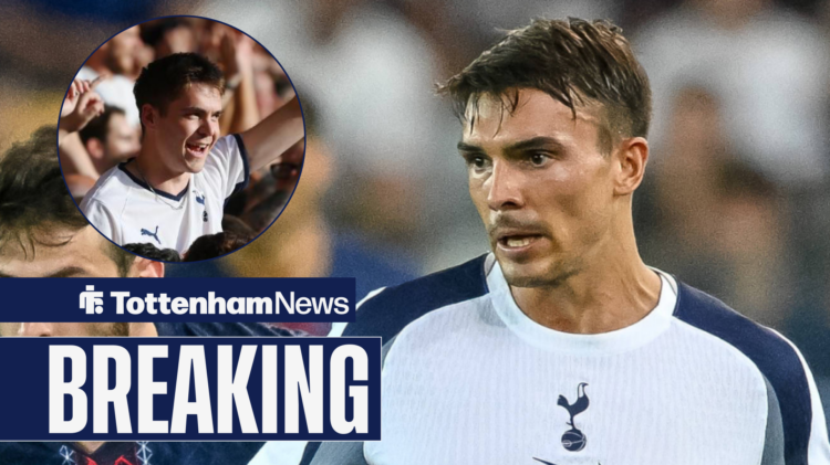 Tottenham supporters cheers towards Palhinha.