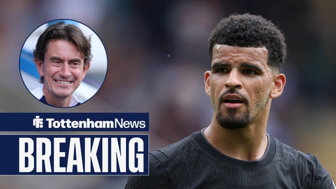 Sky Sports share breaking update on Dominic Solanke ahead of Brighton vs Tottenham