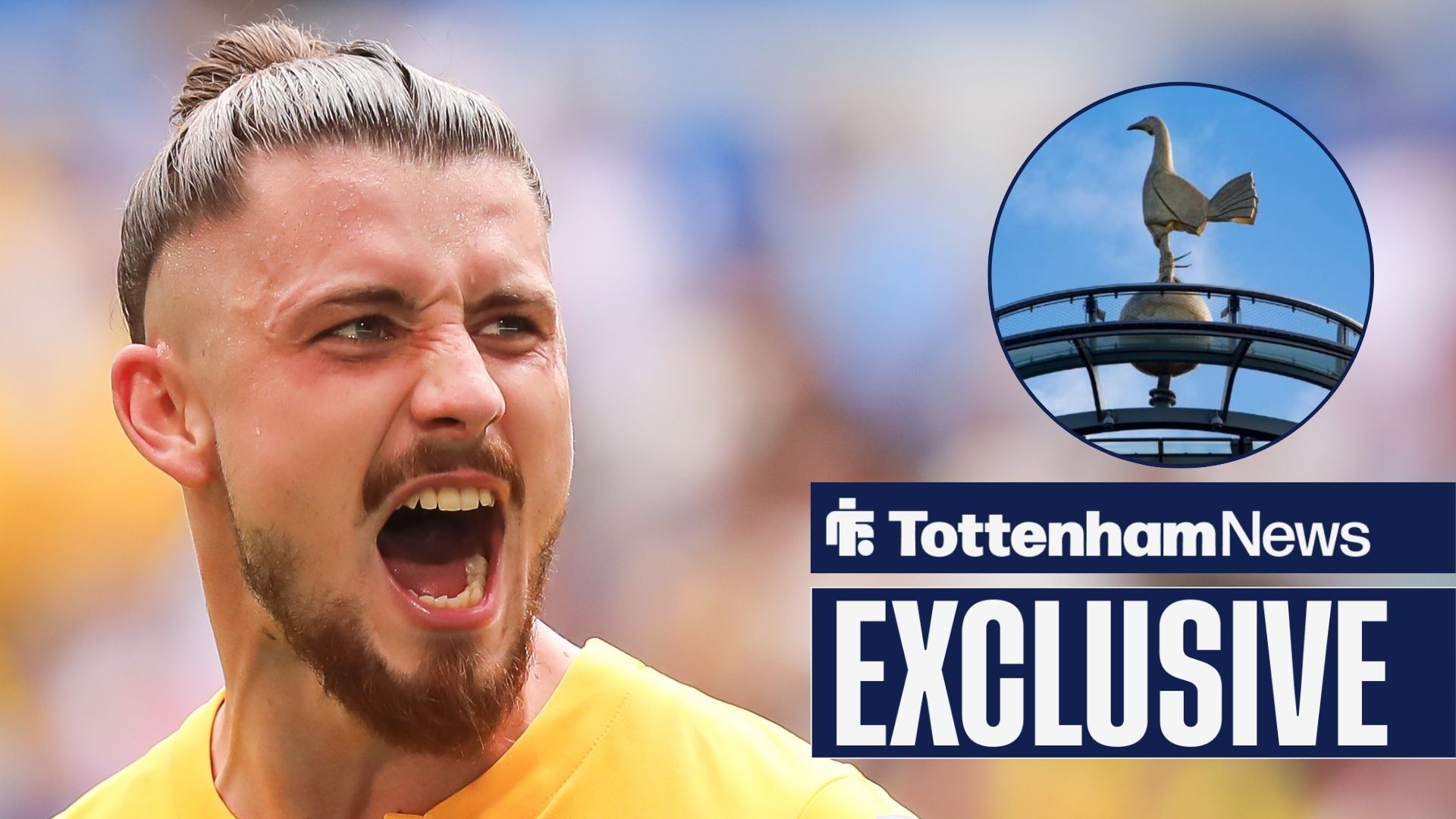 Tottenham have Radu Dragusin problem as ‘bizarre’ decision threatens to disrupt plan - tottenhamhotspurnews.com