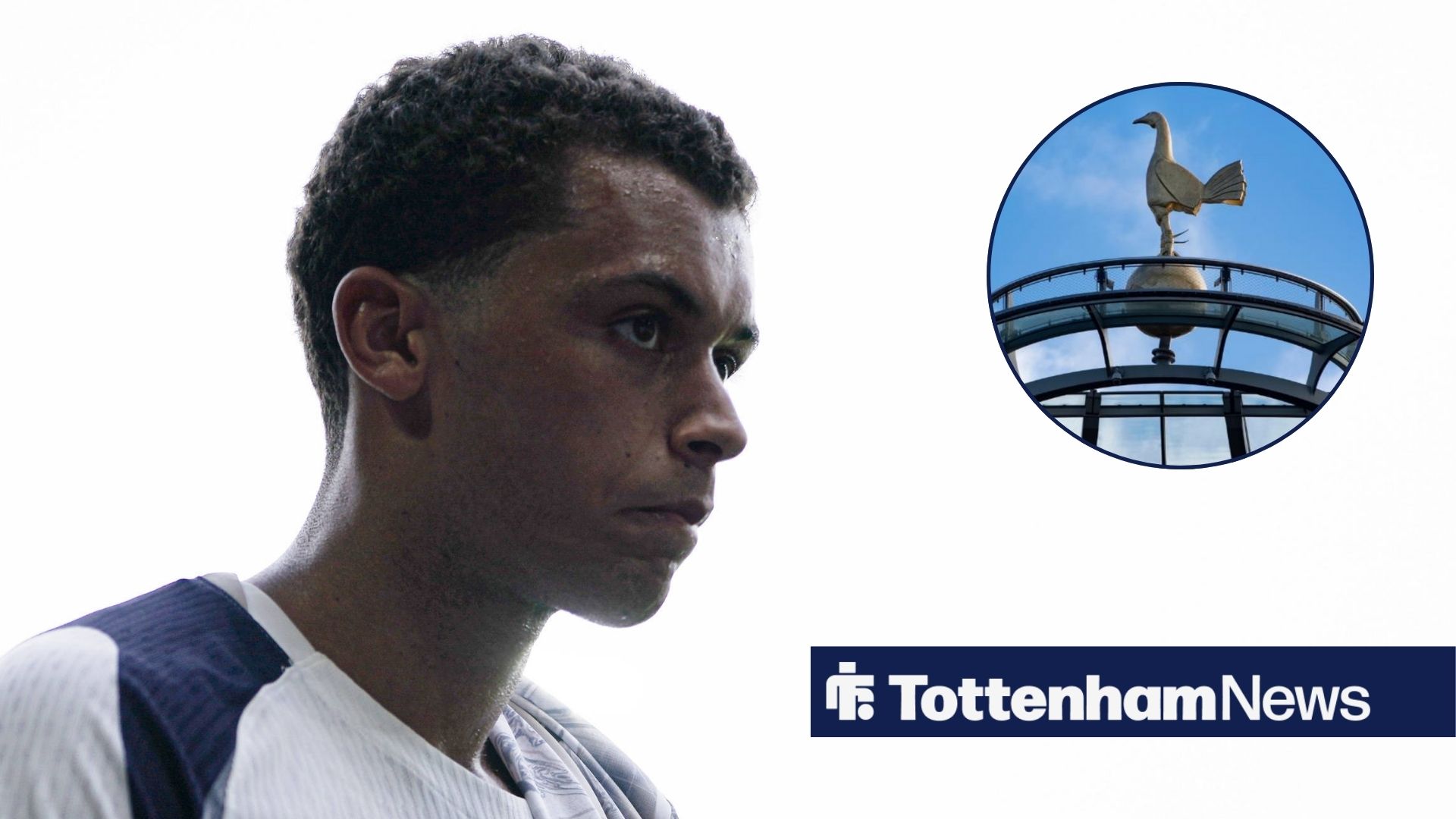 This is why Brennan Johnson is the key to properly unlock Tottenham’s season - tottenhamhotspurnews.com