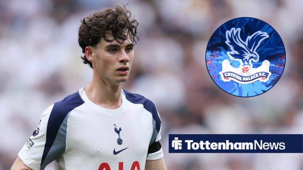 View: Defender can hold head high after Tottenham vs Crystal Palace - here's why