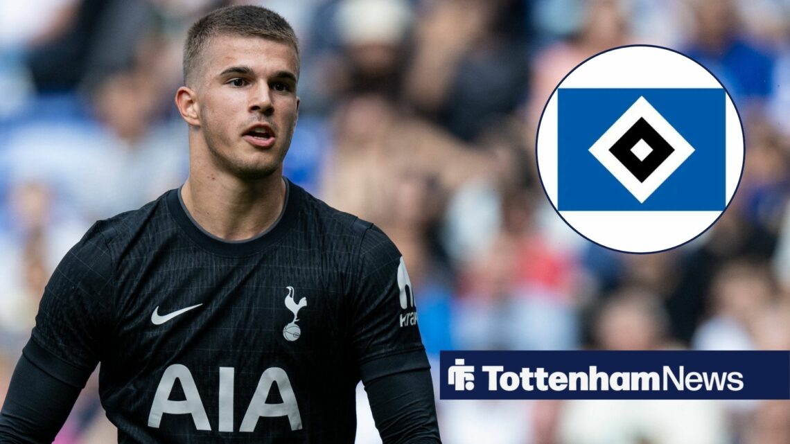 Luka Vuskovic with Hamburg badge in circular inset.