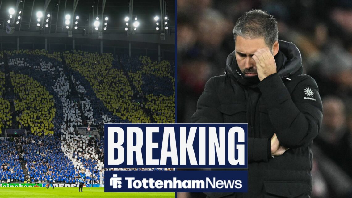 Tottenham fans and Leicester City manager Marti Cifuentes