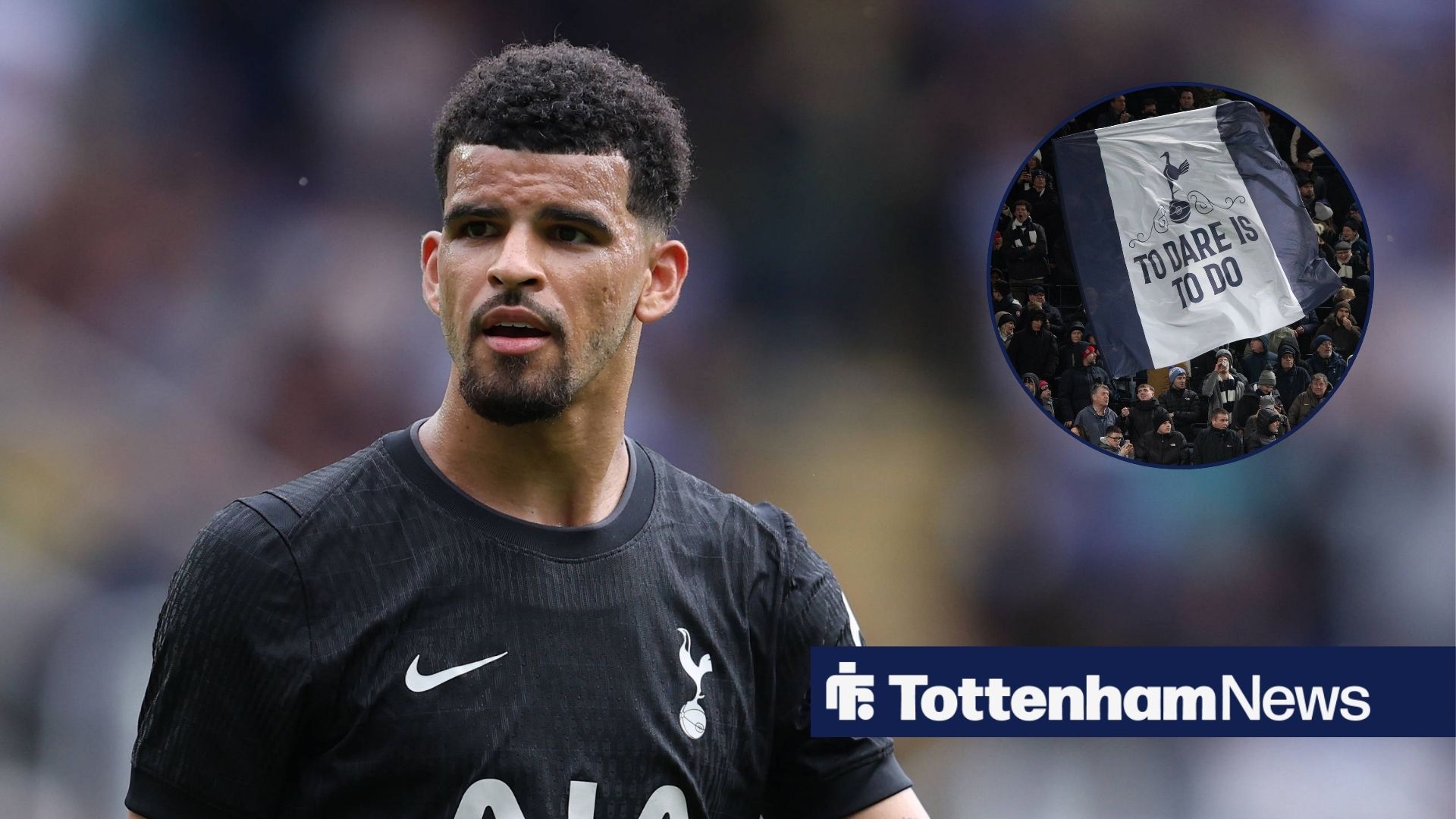 Dom Solanke edging closer to Tottenham comeback after what he posted on Instagram - tottenhamhotspurnews.com