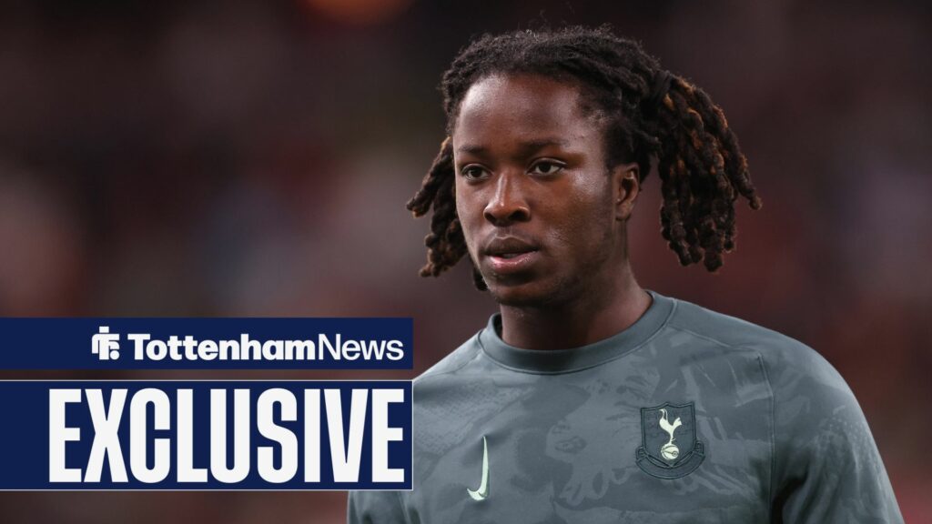 'Excellent move' - Tottenham youth expert loves sound of possible next transfer