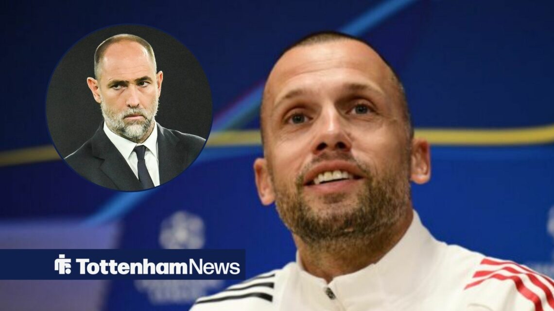 Igor Tudor looks stern inset, as John Heitinga smiles