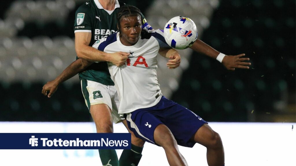 View: Tottenham teen's stock rises even more amid scenes on int'l duty