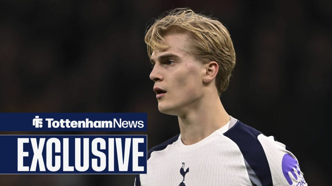 Tottenham Hotspur's Lucas Bergvall during champions league match between Tottenham Hotspur and Borussia Dortmund.