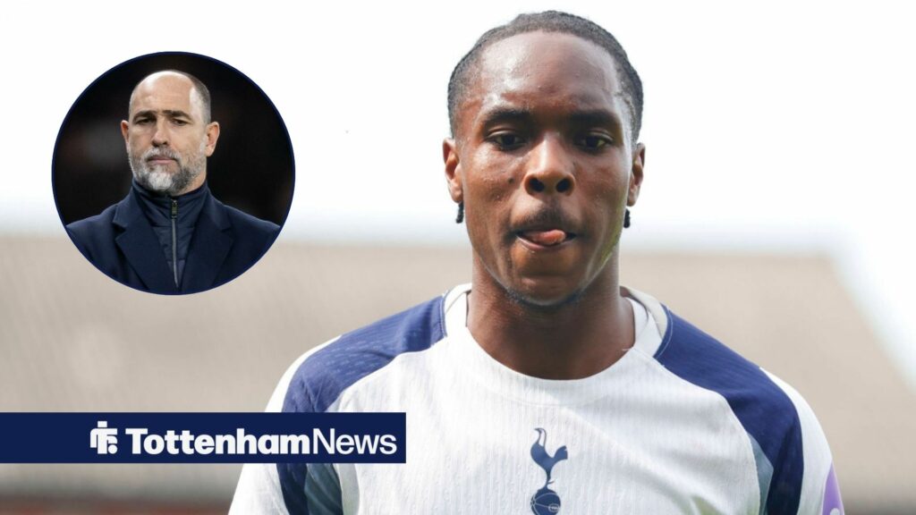 View: Tottenham only have one answer after what three-goal outcast just said about playing time