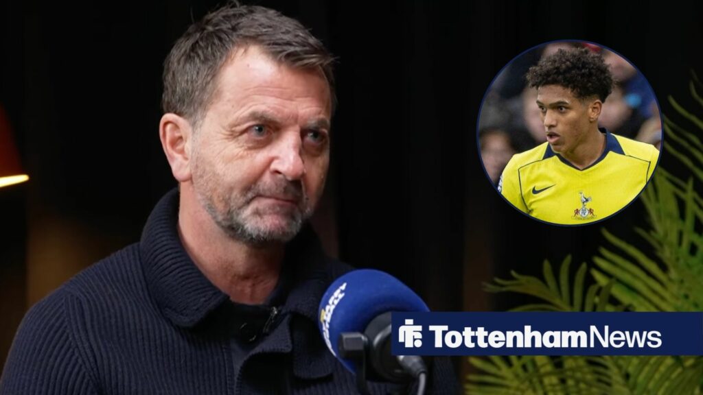 Tim Sherwood makes desperate Souza claim ahead of Tottenham vs Crystal Palace