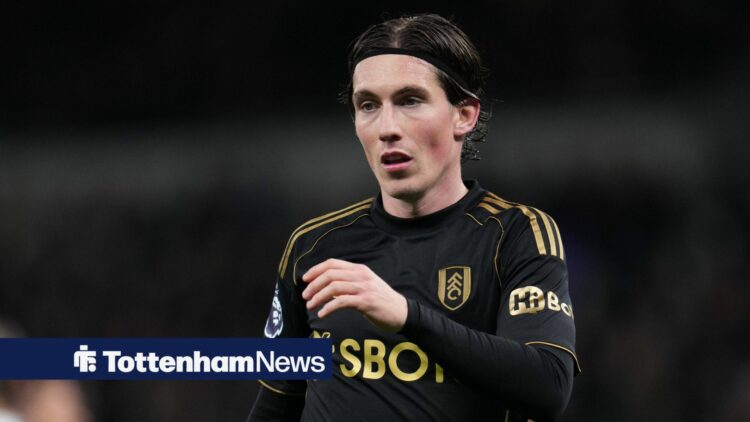 Harry Wilson in action for Fulham.