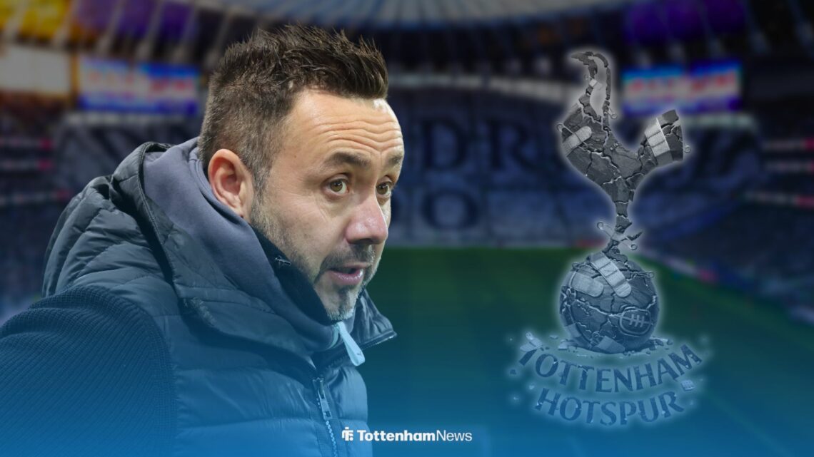 Tottenham Hotspur boss Roberto De Zerb