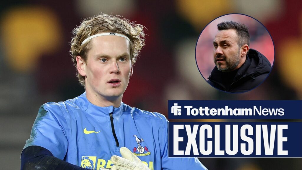 Lilywhite Rose: Rarely-seen Tottenham player to keep place after what he did vs Wolves - 'Outstanding'