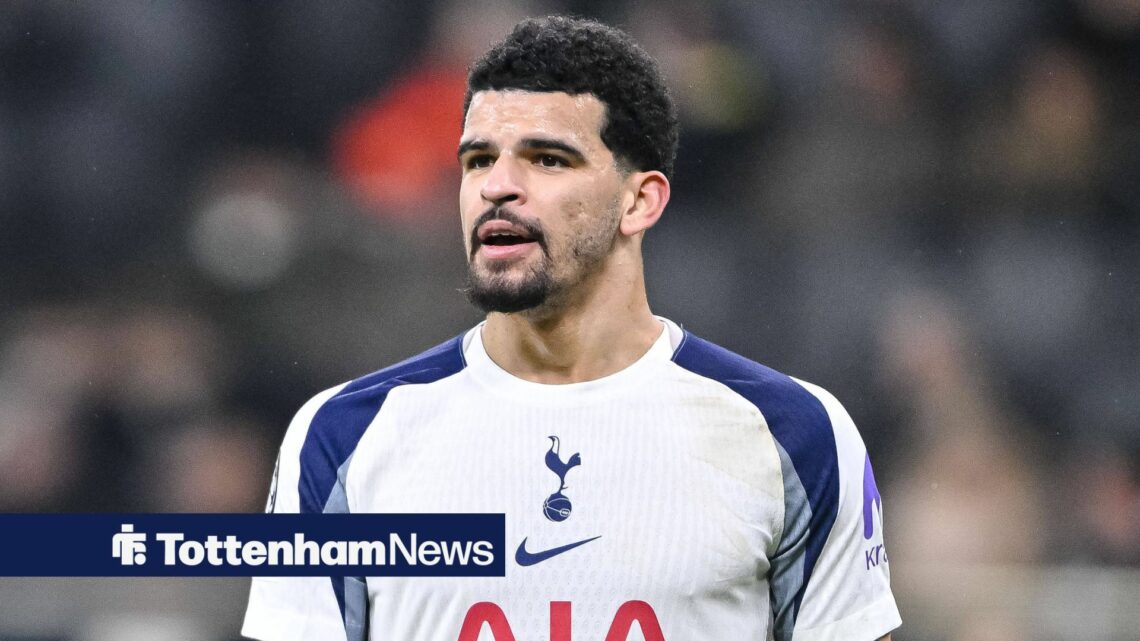 Dominic Solanke in action for Tottenham