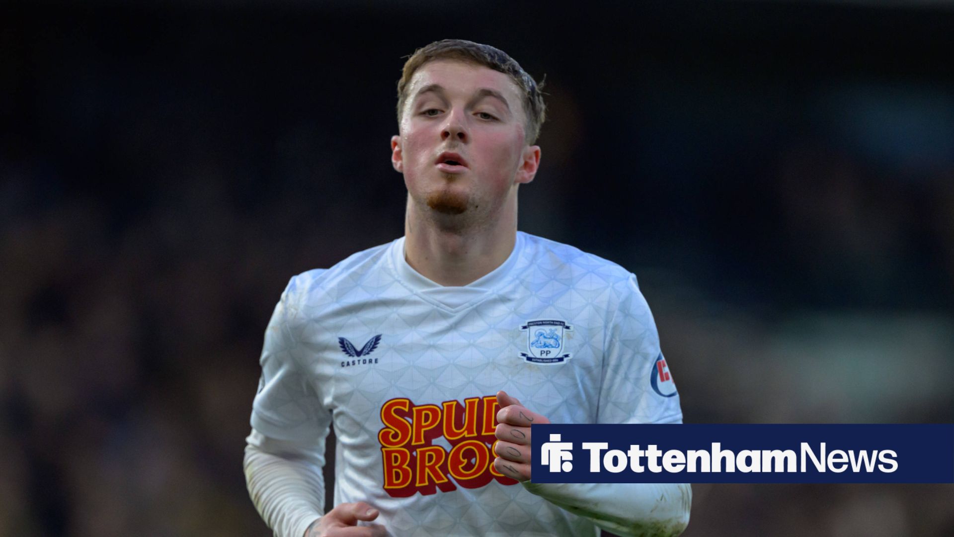Tottenham can’t make Alfie Devine mistake as £4.5m gamble on cards - tottenhamhotspurnews.com